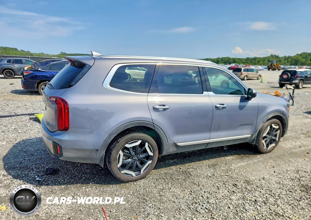 2025 Kia Telluride S VIN:5XYP64GCXSG675419 - 3
