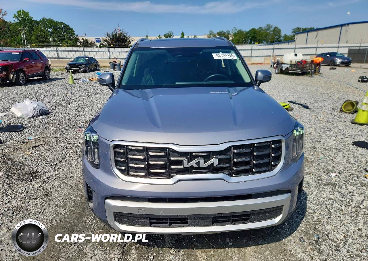 2025 Kia Telluride S VIN:5XYP64GCXSG675419 - 5