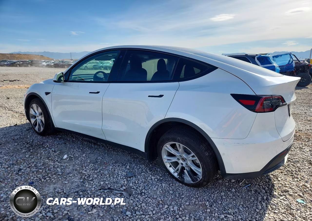 2022 Tesla Model Y VIN:7SAYGDEE6NF358225 - 2