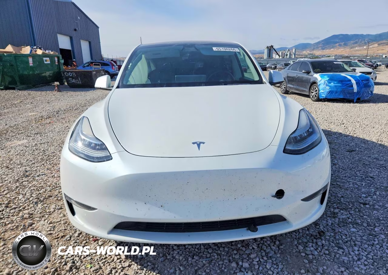 2022 Tesla Model Y VIN:7SAYGDEE6NF358225 - 5