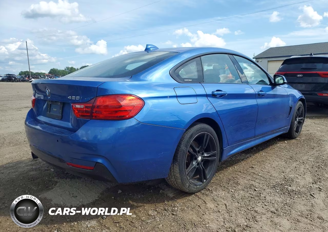 2015 BMW 428 Xi Gran Coupe VIN:WBA4A7C51FD413820 - 3