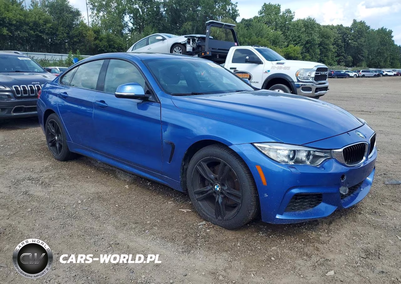 2015 BMW 428 Xi Gran Coupe VIN:WBA4A7C51FD413820 - 4