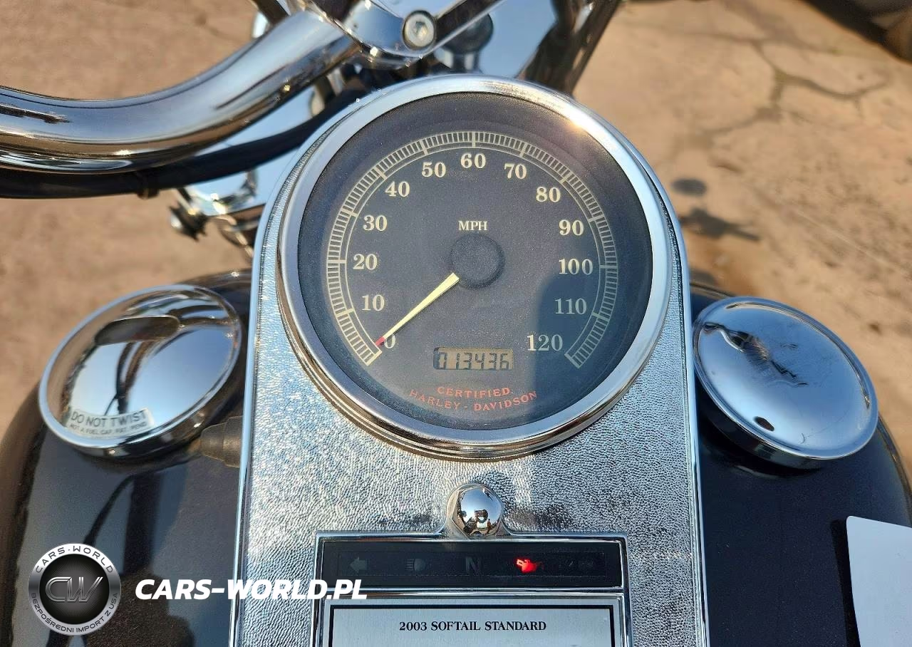 2003 Harley-Davidson Fxst VIN:1HD1BHY103Y050962 - 7