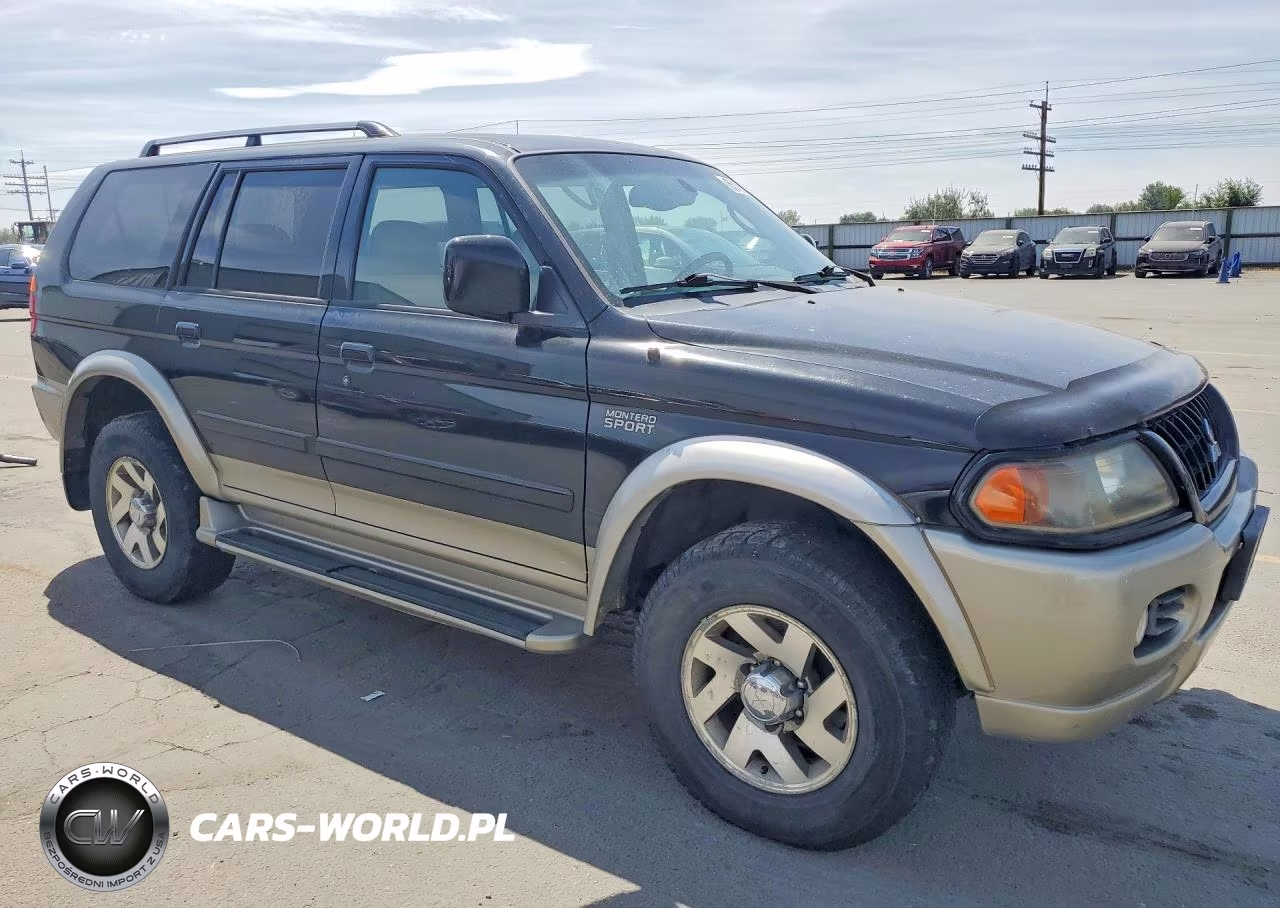 2002 Mitsubishi Montero Sport Limited VIN:JA4MT41R12J041676 - 4