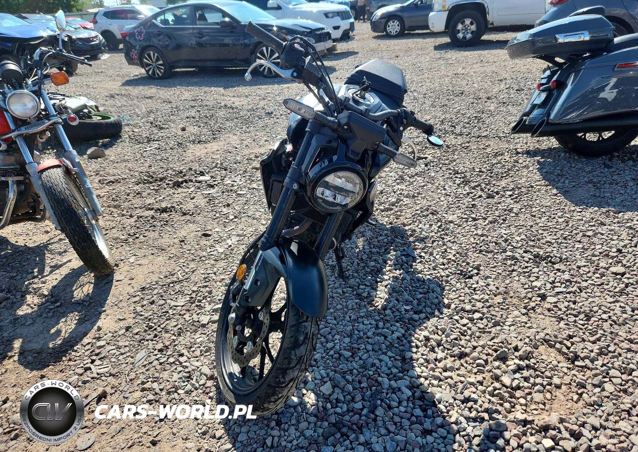 2024 Honda Cbf300 Na VIN:MLHNC555XR5400630 - 2