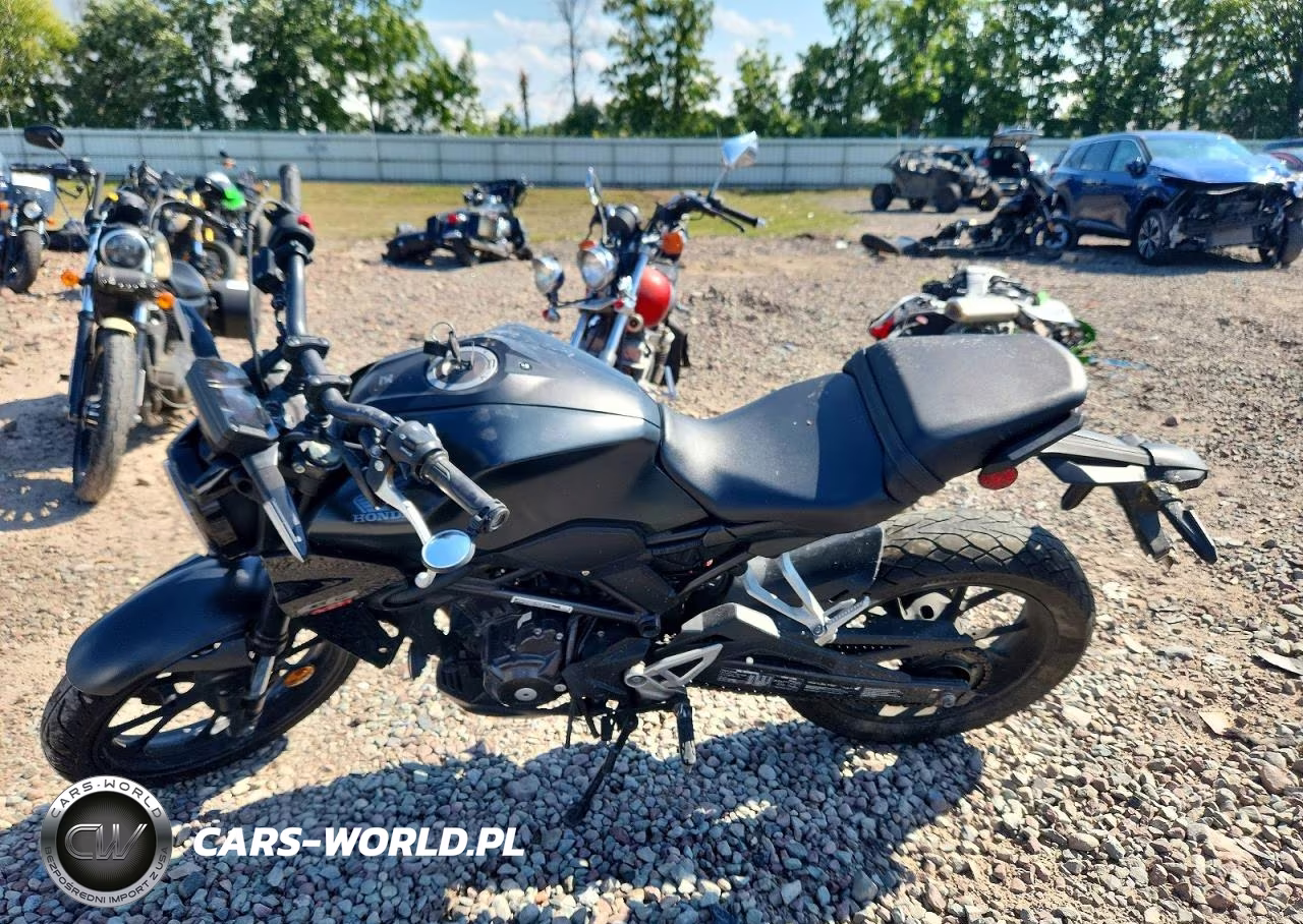 2024 Honda Cbf300 Na VIN:MLHNC555XR5400630 - 3