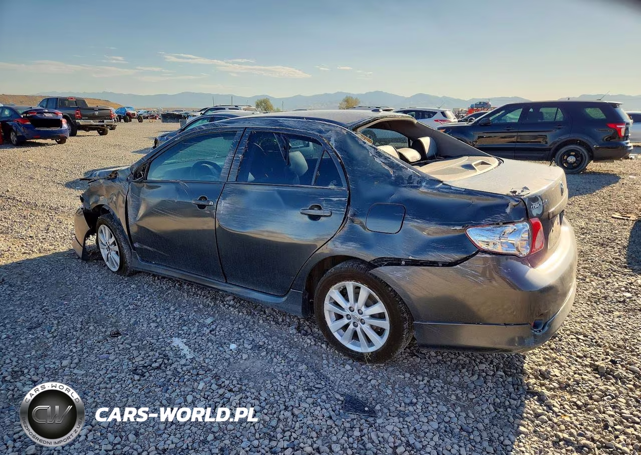 2010 Toyota Corolla S VIN:2T1BU4EE7AC534287 - 2