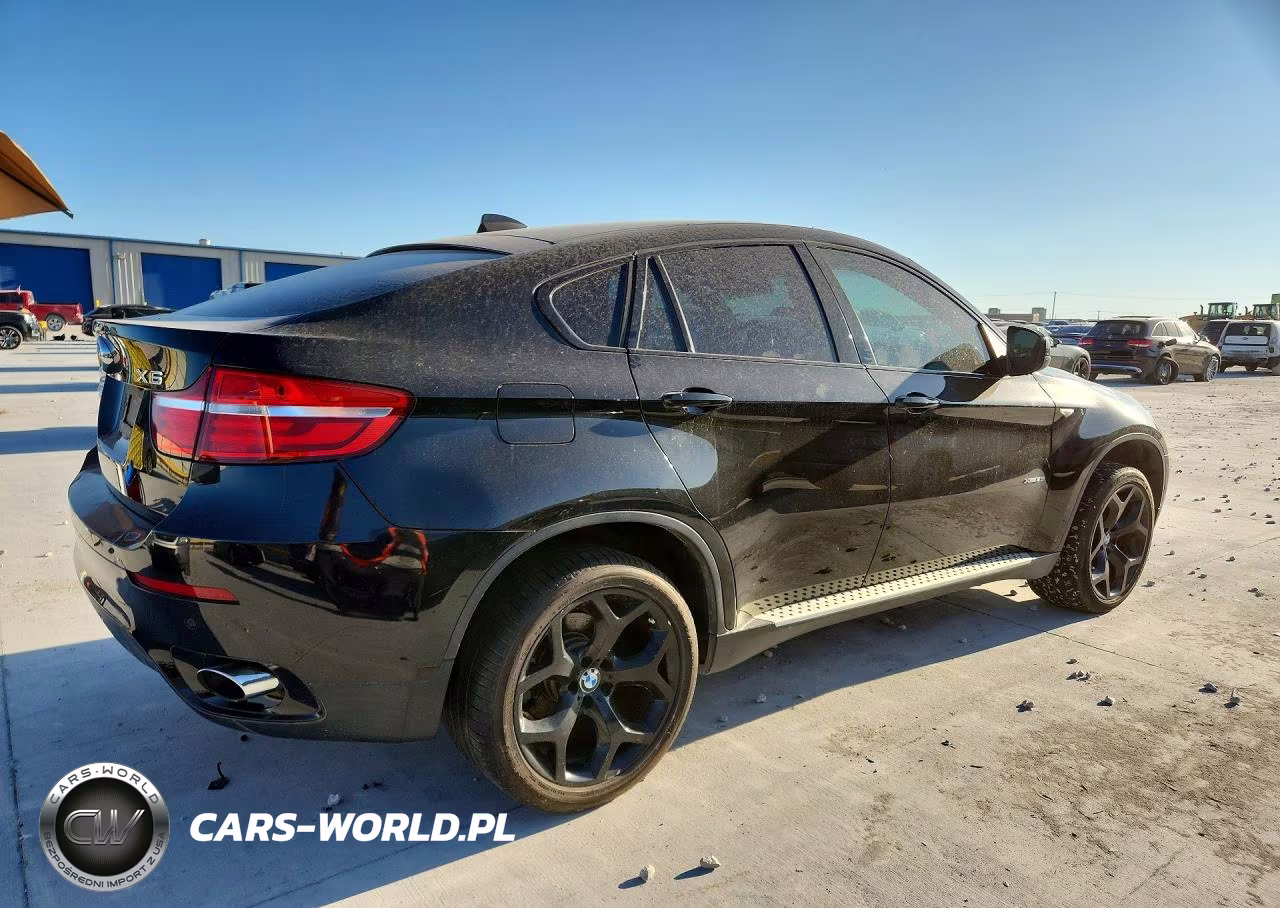 2013 BMW X6 xDrive35I VIN:5UXFG2C51DL783969 - 3