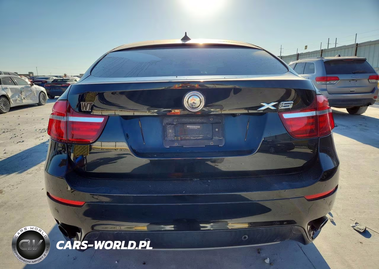 2013 BMW X6 xDrive35I VIN:5UXFG2C51DL783969 - 6