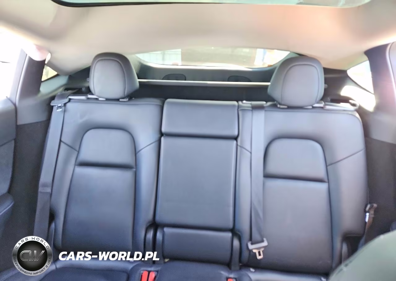 2023 Tesla Model Y VIN:7SAYGDEE1PF896737 - 10