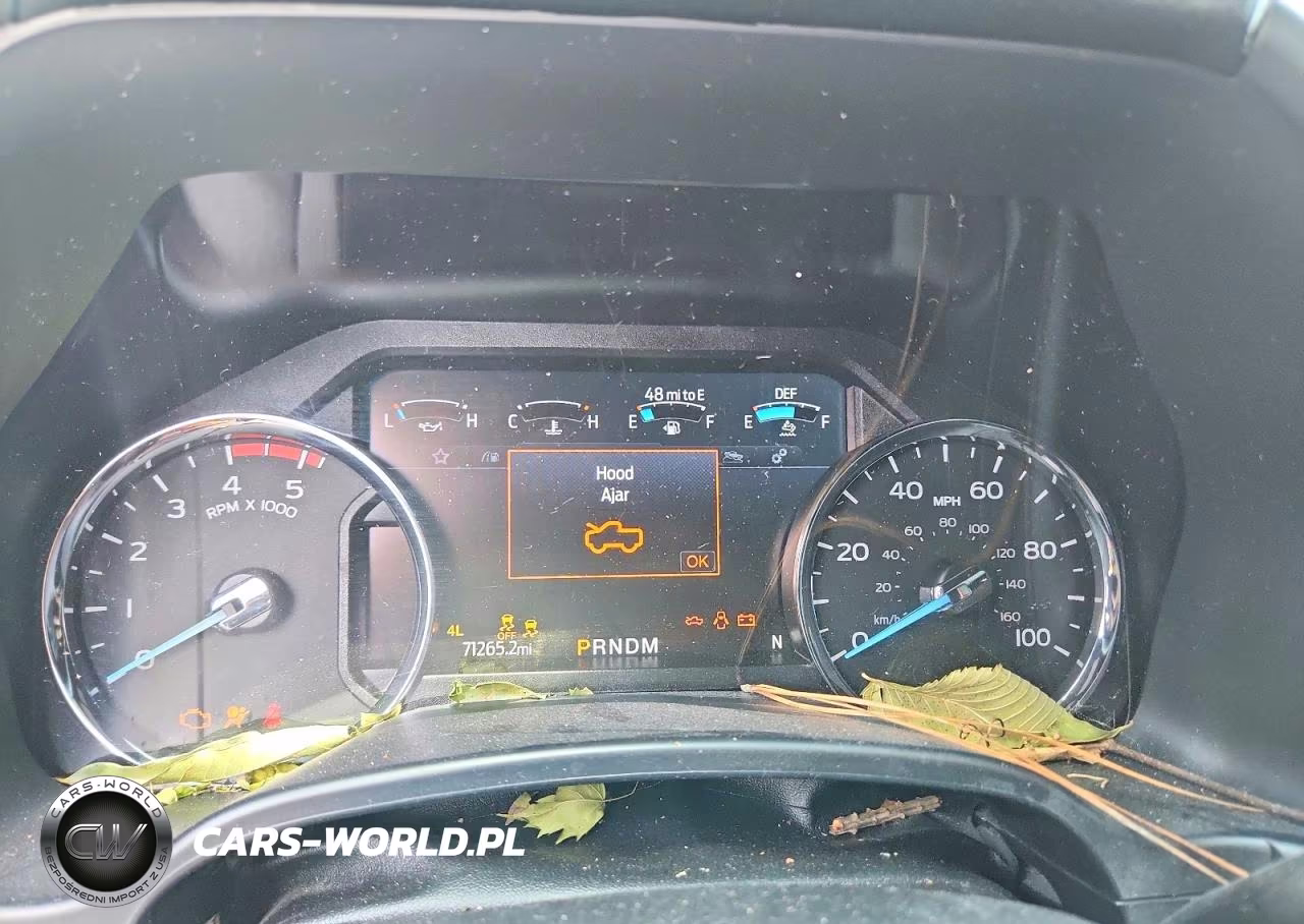 2021 Ford F450 Super Duty VIN:1FT8W4DT2MEC02747 - 9