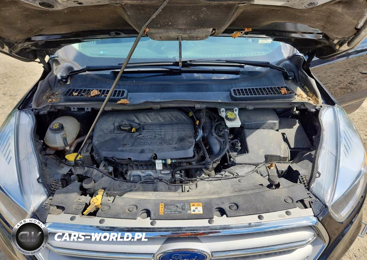 2019 Ford Escape Se VIN:1FMCU9GD0KUB83888 - 12