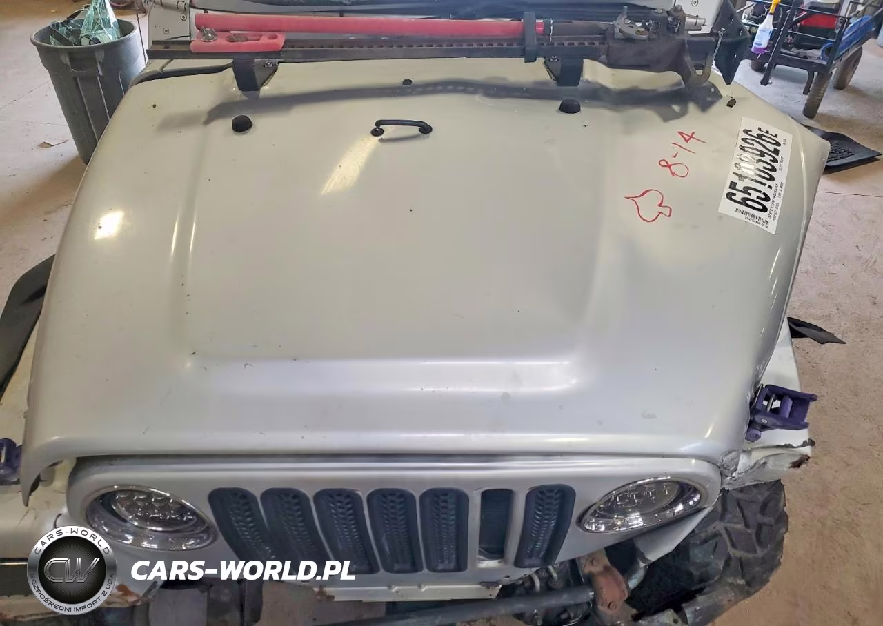 2003 Jeep Wrangler Commando VIN:1J4FA39S33P317256 - 12