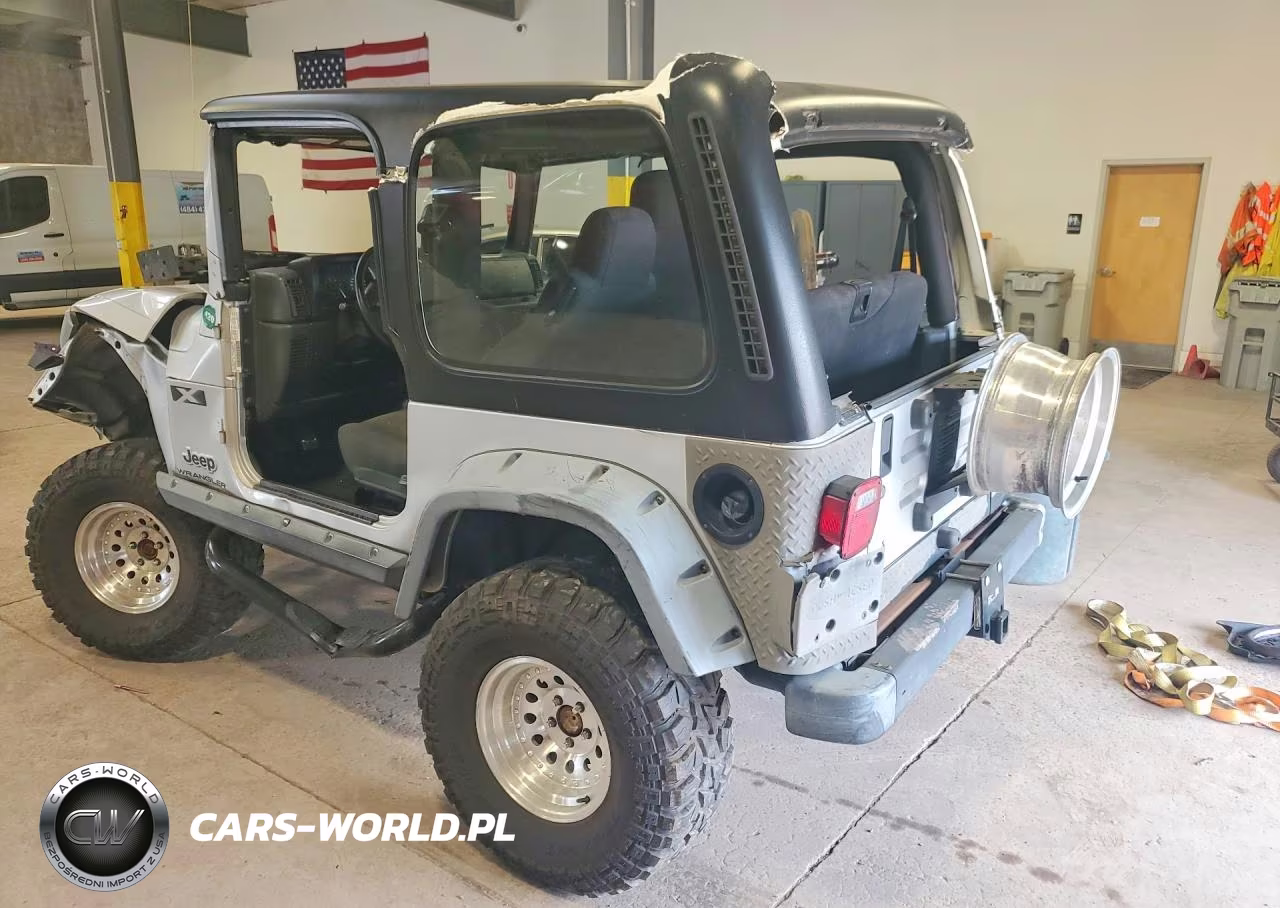 2003 Jeep Wrangler Commando VIN:1J4FA39S33P317256 - 2