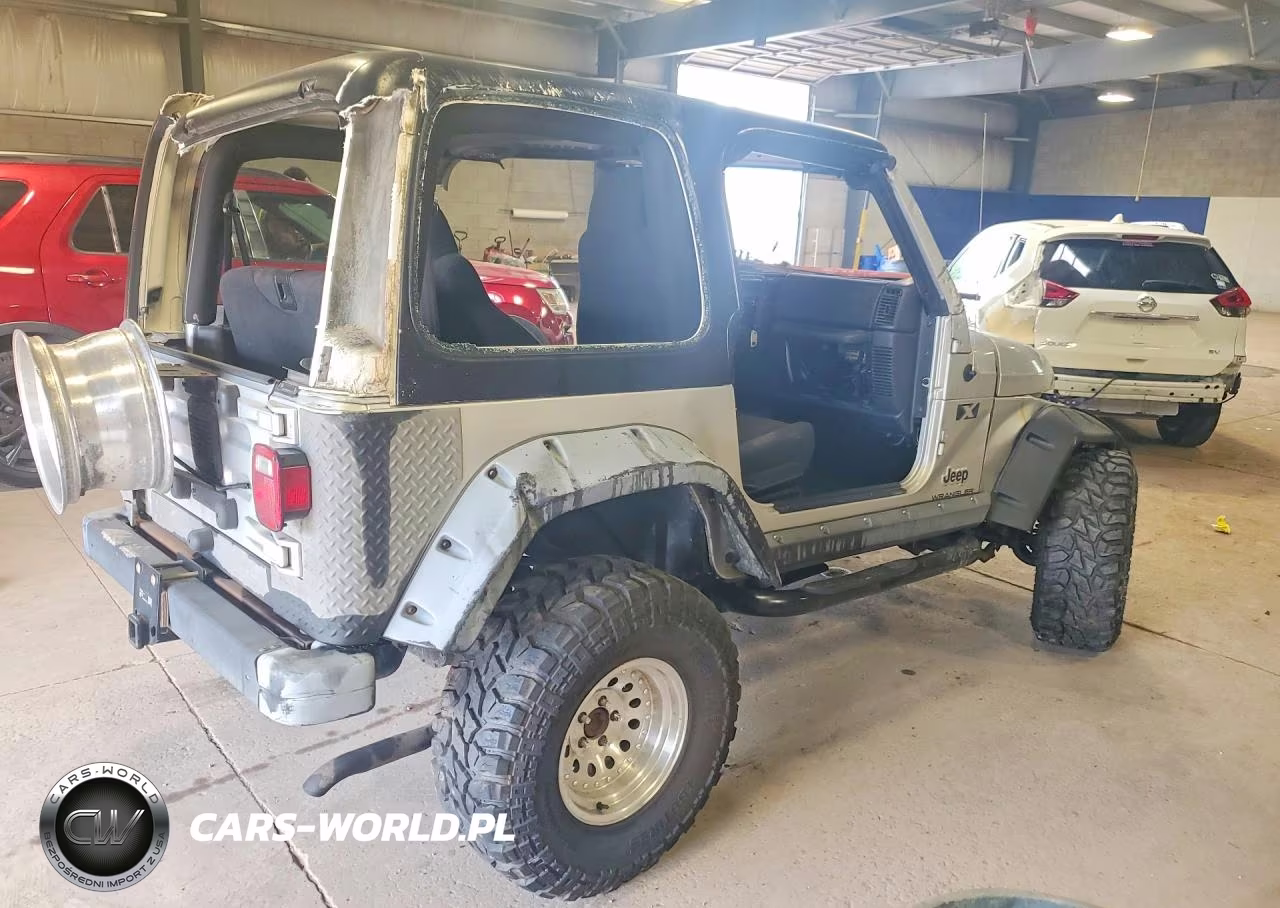 2003 Jeep Wrangler Commando VIN:1J4FA39S33P317256 - 3