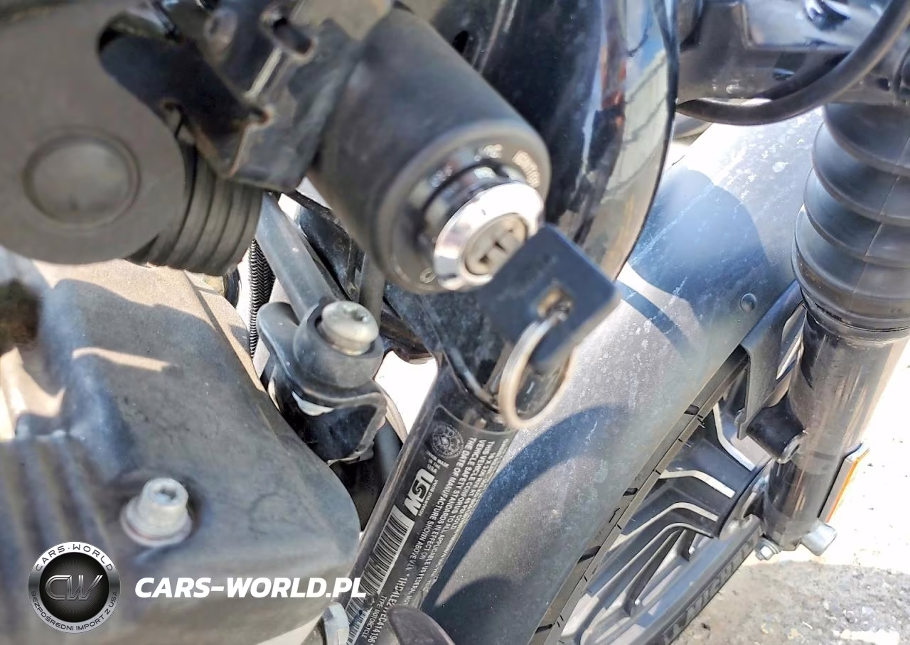 2014 Harley-Davidson Xl883 Iron 883 VIN:1HD4LE217EC414196 - 8