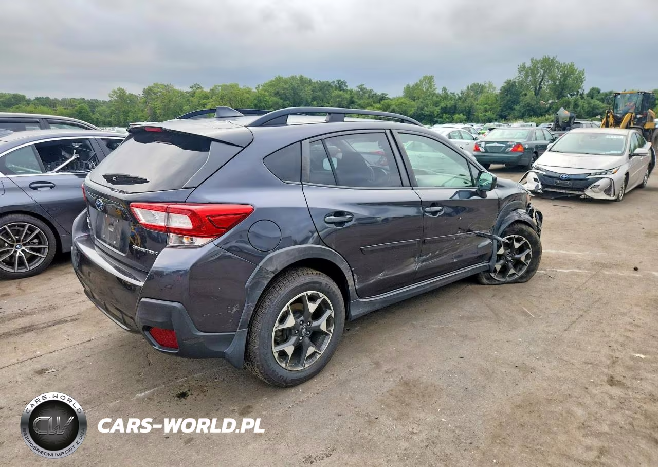2019 Subaru Crosstrek Premium VIN:JF2GTAEC3K8341087 - 3