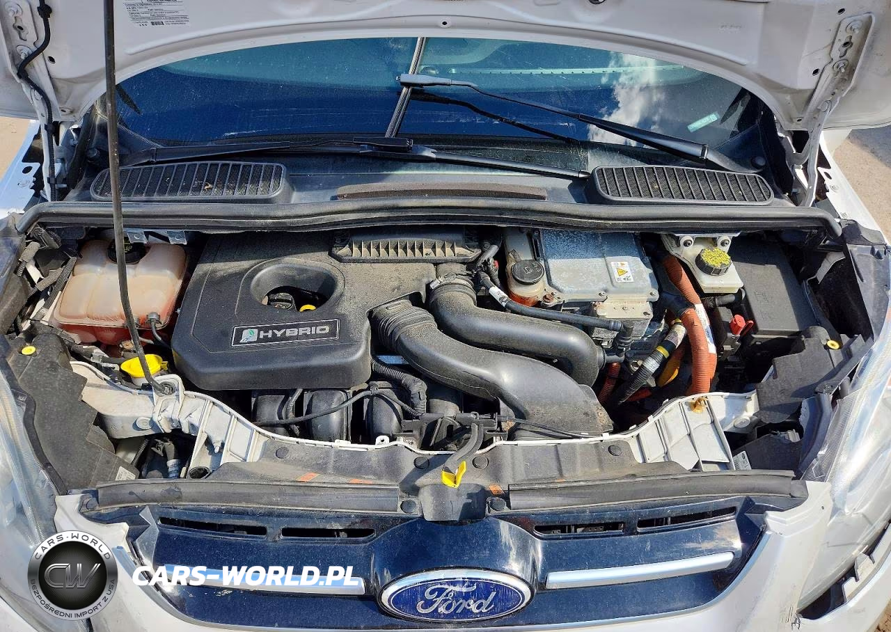 2016 Ford C-Max Se VIN:1FADP5AU9GL105730 - 12