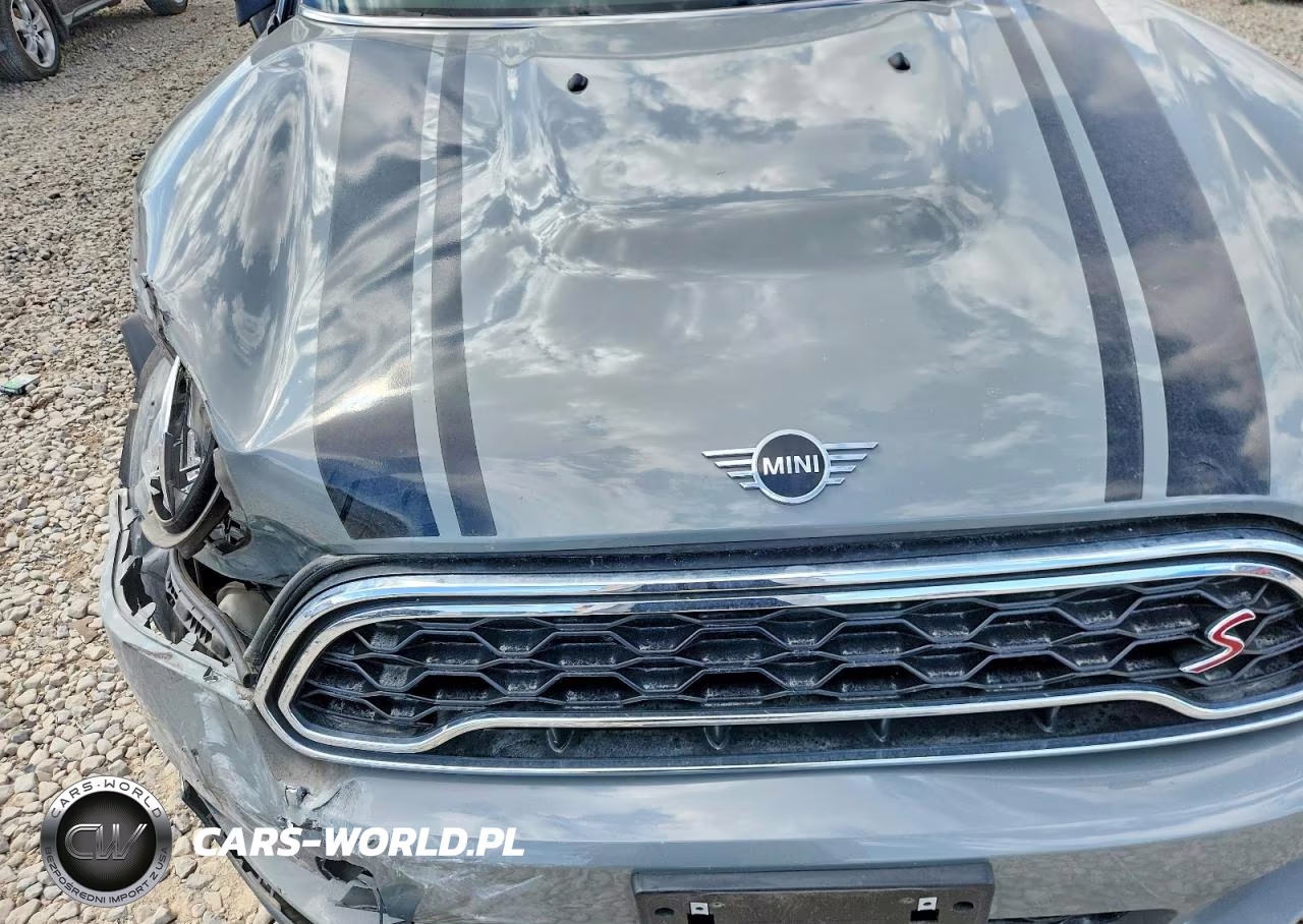 2020 Mini Cooper S Countryman All4 VIN:WMZYX1C04L3L94878 - 11