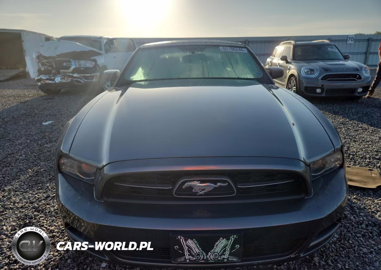 2014 Ford Mustang VIN:1ZVBP8EM0E5328296 - 5