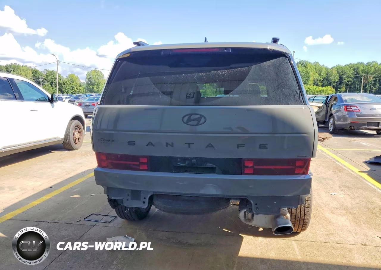 2025 Hyundai Santa Fe Calligraphy VIN:5NMP5DGL1SH088499 - 6
