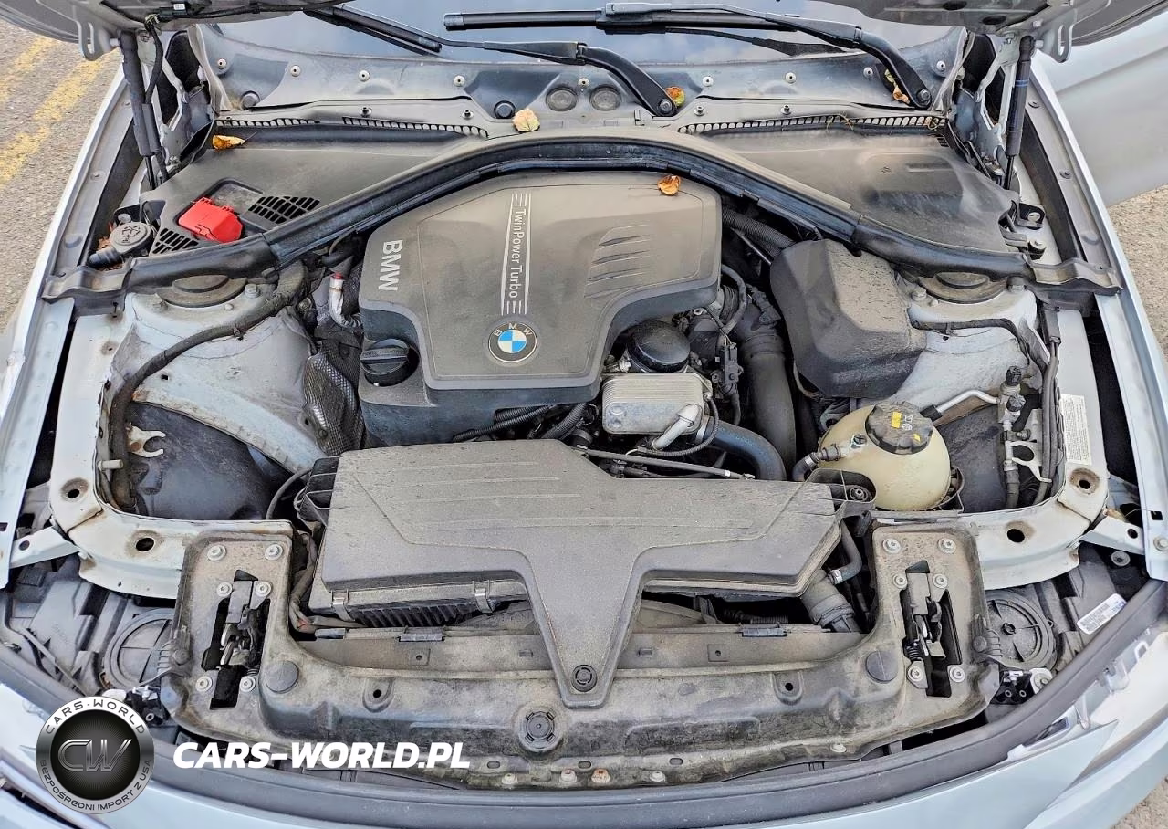 2014 BMW 320 I VIN:WBA3B1G59ENS78336 - 11