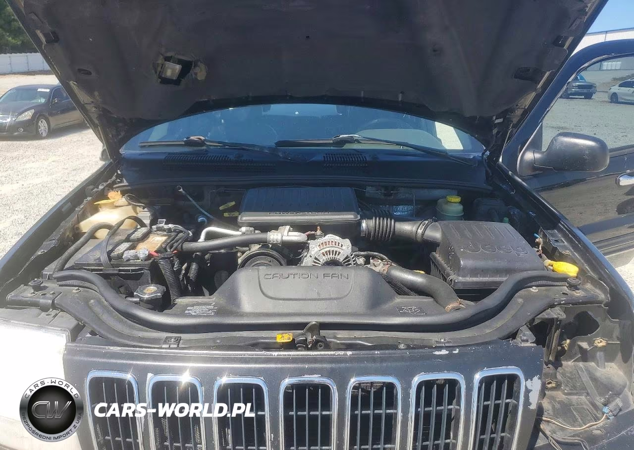 2001 Jeep Grand Cherokee Limited VIN:1J4GW58N21C687387 - 11
