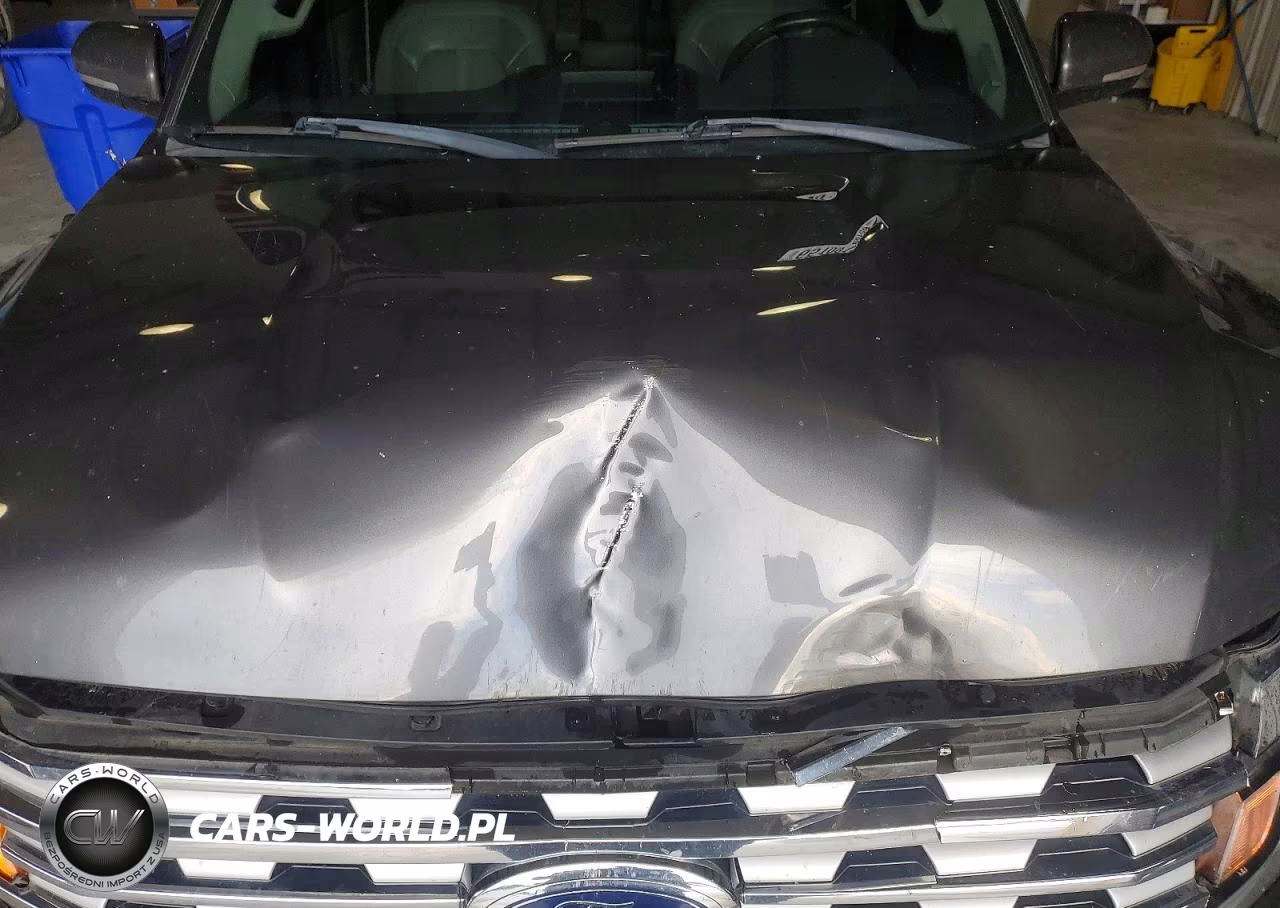 2018 Ford Expedition Limited VIN:1FMJU1KT4JEA68811 - 12