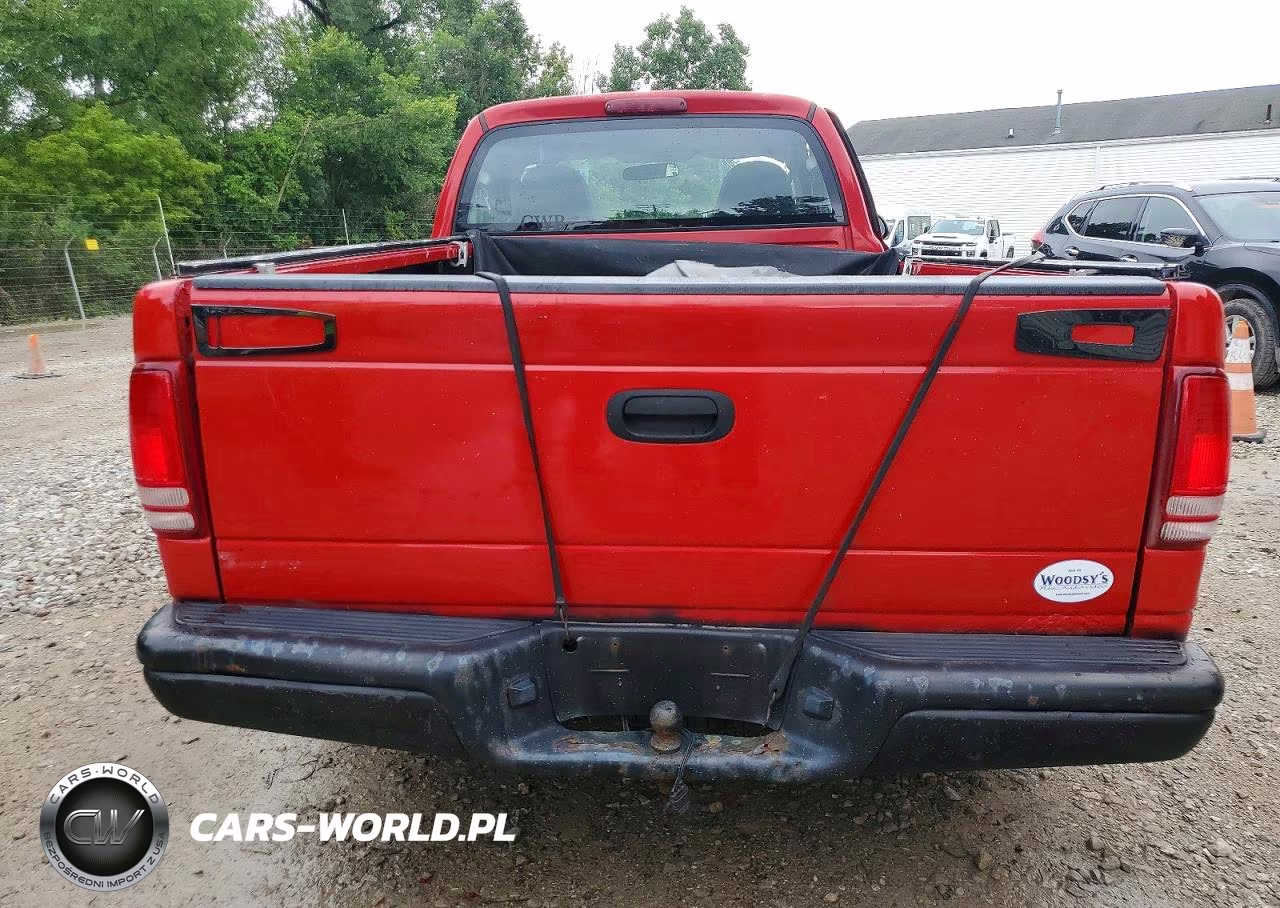 2003 Dodge Dakota Sxt VIN:1D7FL16X73S330843 - 10