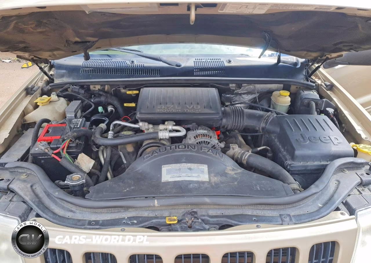 1999 Jeep Grand Cherokee Limited VIN:1J4GW68NXXC696921 - 12