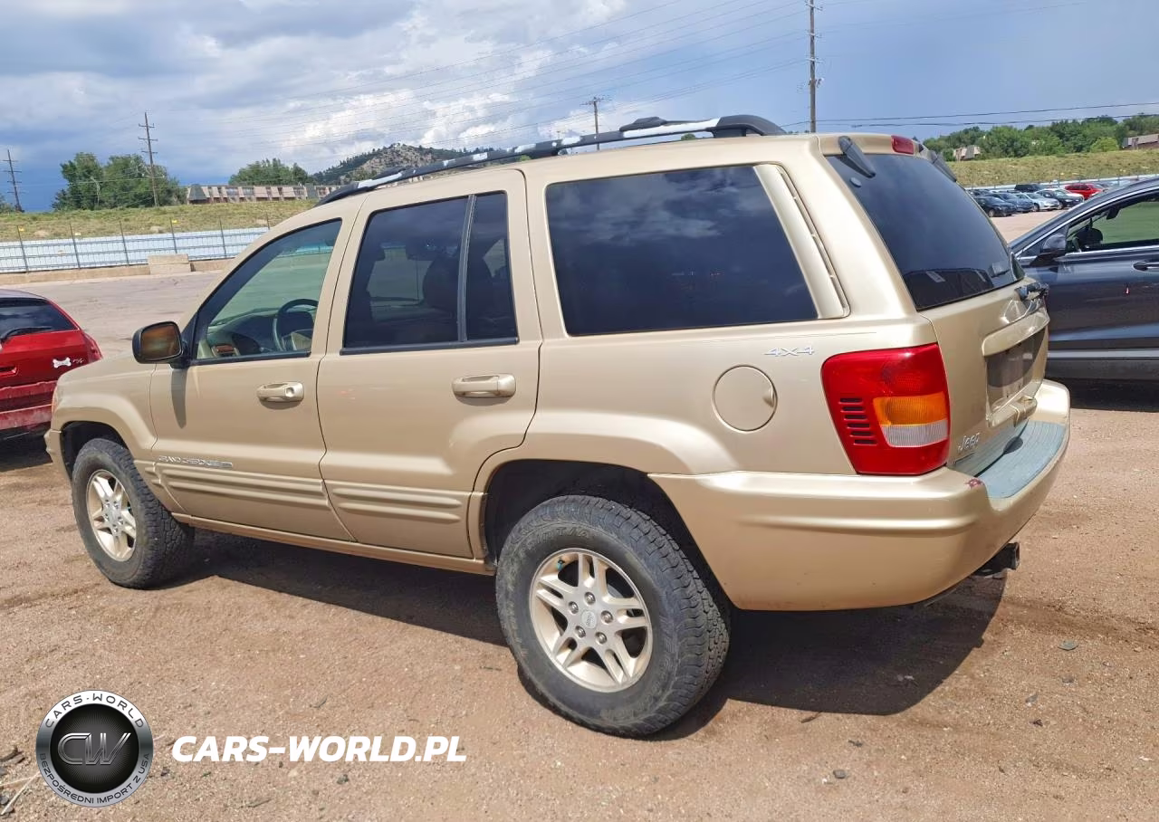 1999 Jeep Grand Cherokee Limited VIN:1J4GW68NXXC696921 - 2