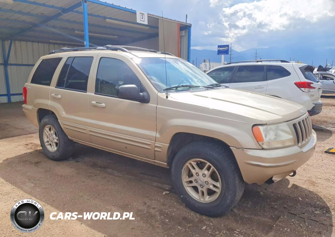 1999 Jeep Grand Cherokee Limited VIN:1J4GW68NXXC696921 - 4