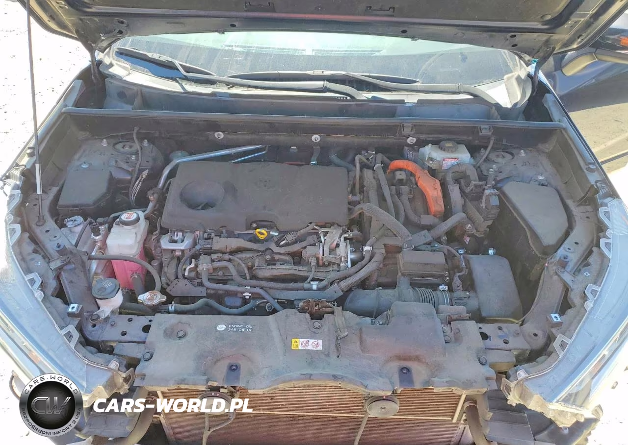 2020 Toyota Rav4 Xse VIN:JTMEWRFV2LJ043359 - 12