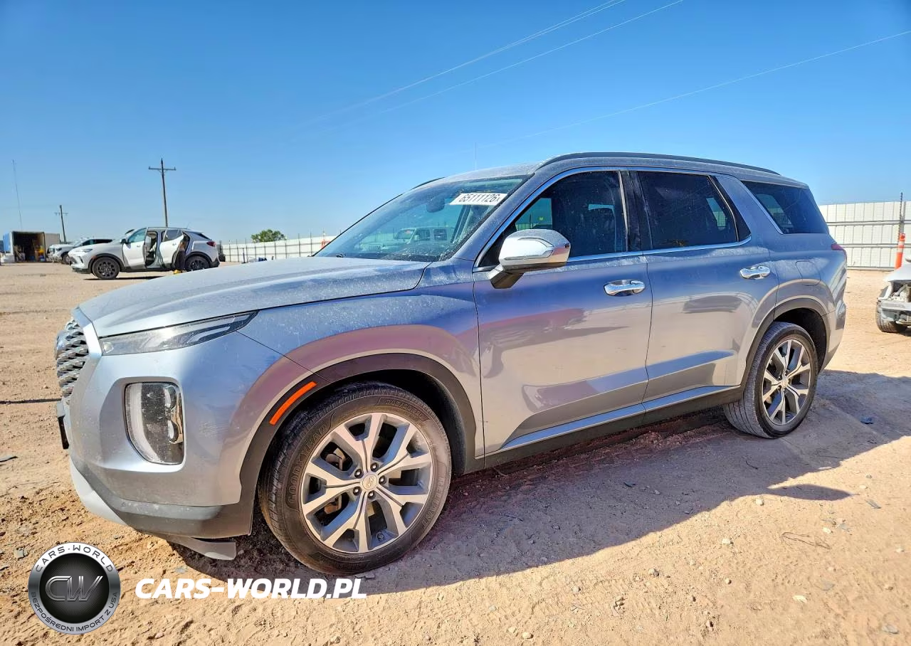 2020 Hyundai Palisade Sel VIN:KM8R44HE8LU064010 - 1