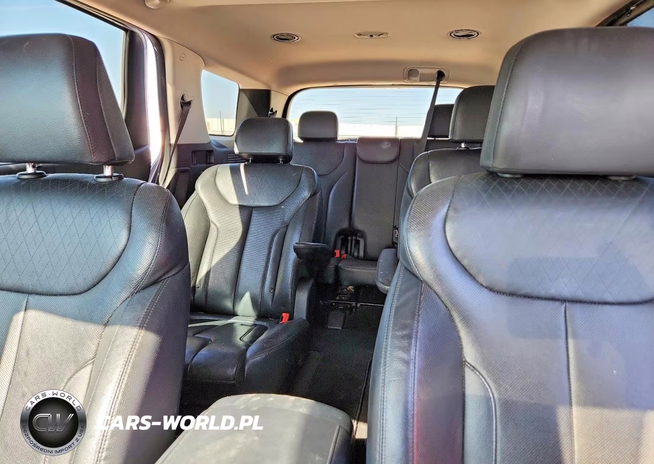 2020 Hyundai Palisade Sel VIN:KM8R44HE8LU064010 - 10
