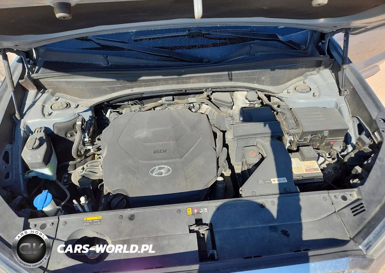 2020 Hyundai Palisade Sel VIN:KM8R44HE8LU064010 - 12