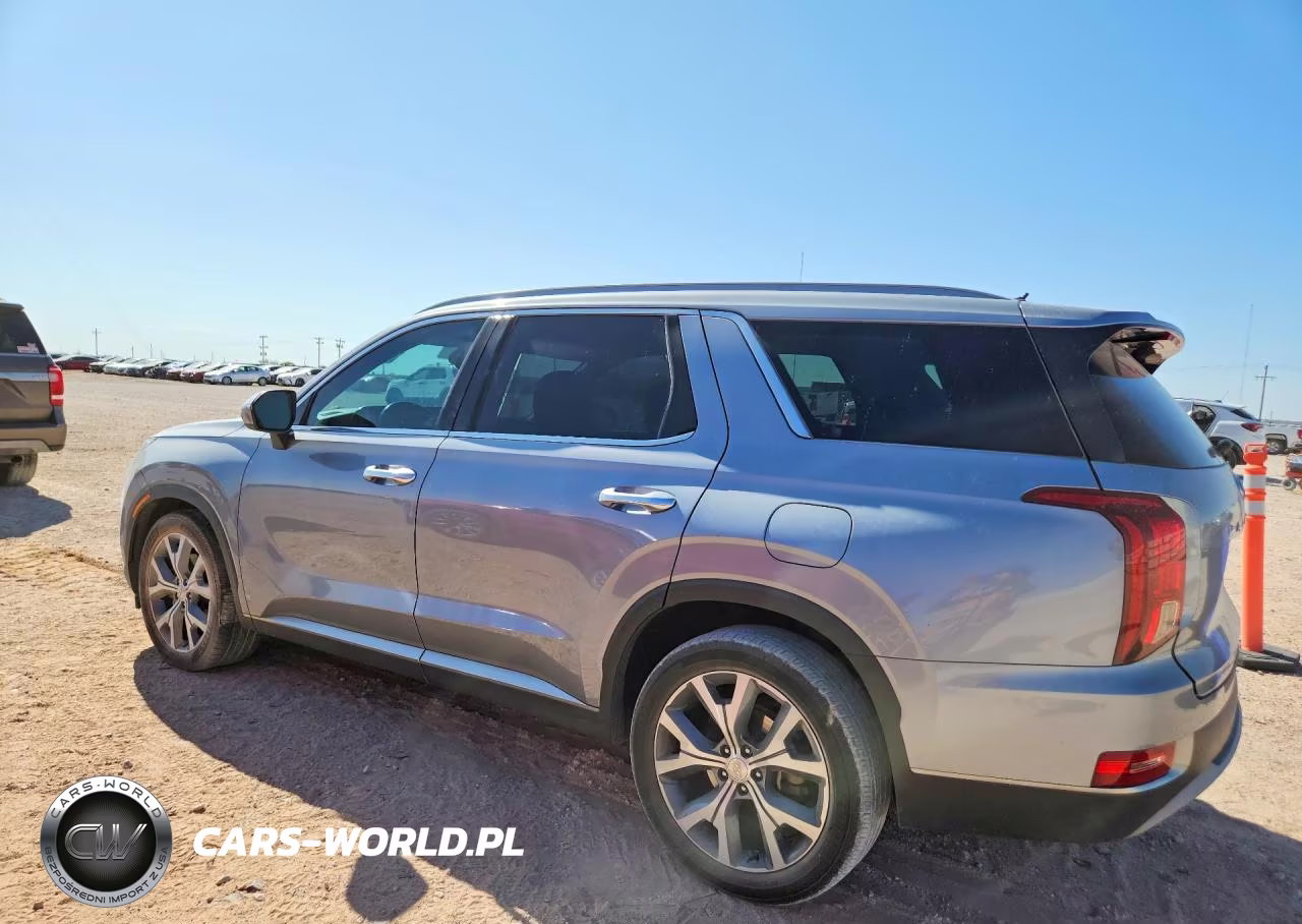 2020 Hyundai Palisade Sel VIN:KM8R44HE8LU064010 - 2