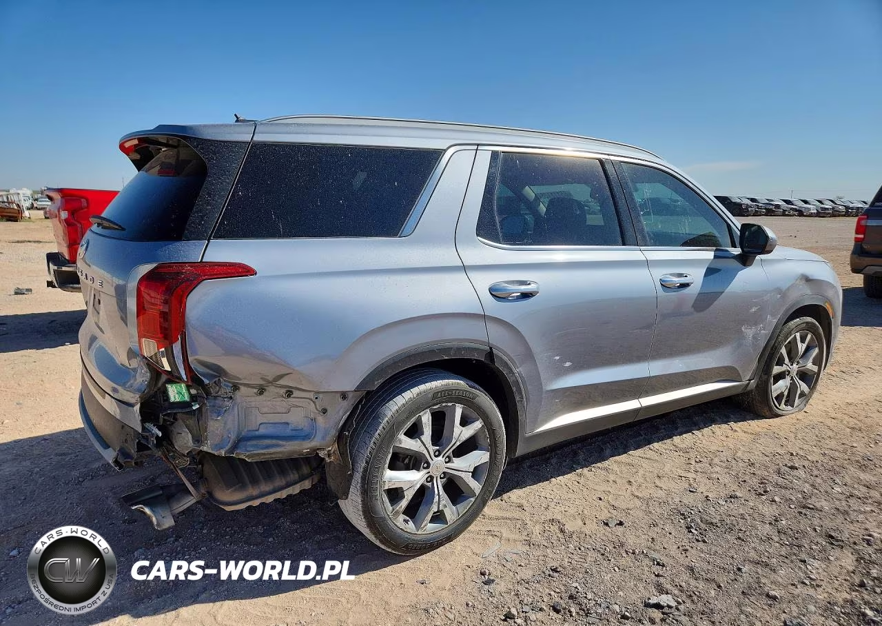 2020 Hyundai Palisade Sel VIN:KM8R44HE8LU064010 - 3