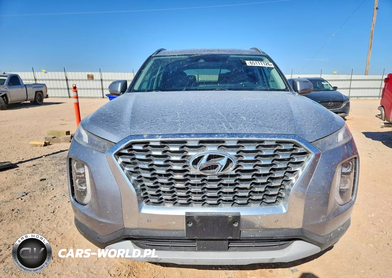 2020 Hyundai Palisade Sel VIN:KM8R44HE8LU064010 - 5