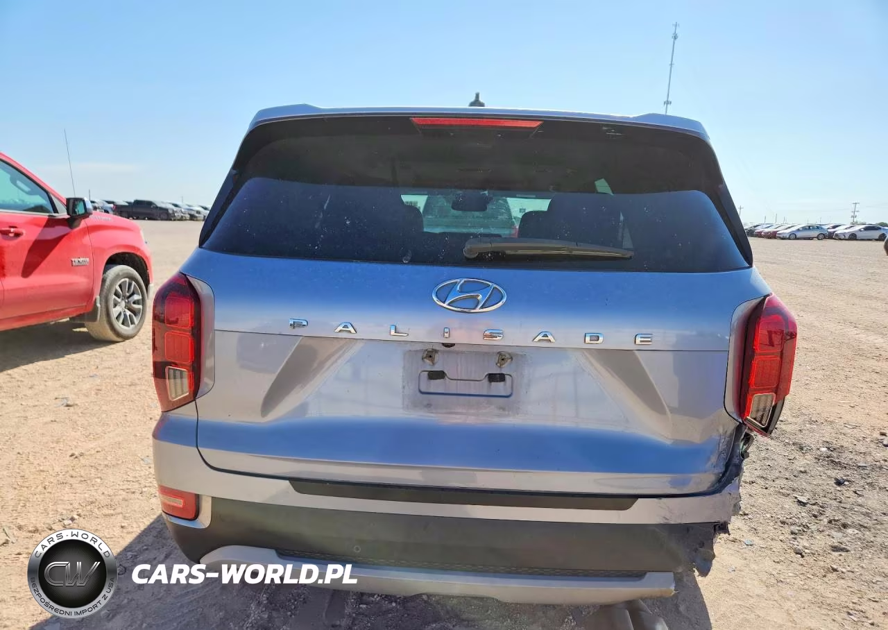 2020 Hyundai Palisade Sel VIN:KM8R44HE8LU064010 - 6