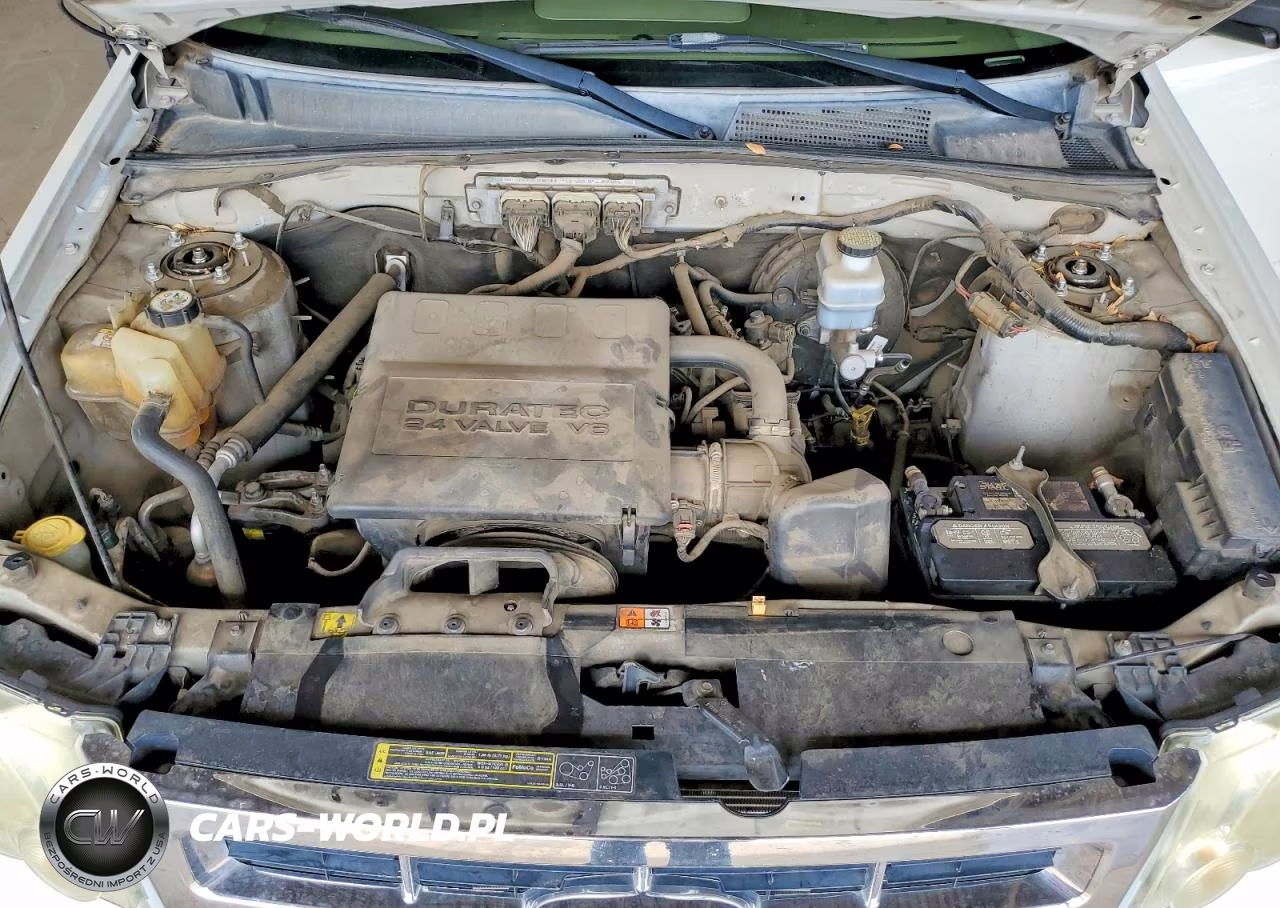 2009 Ford Escape Xlt VIN:1FMCU03G49KC11130 - 11