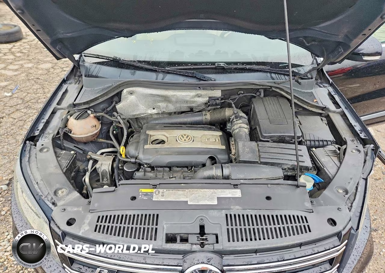 2014 Volkswagen Tiguan S VIN:WVGAV3AX1EW064549 - 12