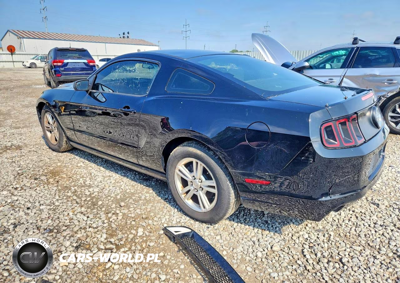 2014 Ford Mustang VIN:1ZVBP8AM1E5215964 - 2