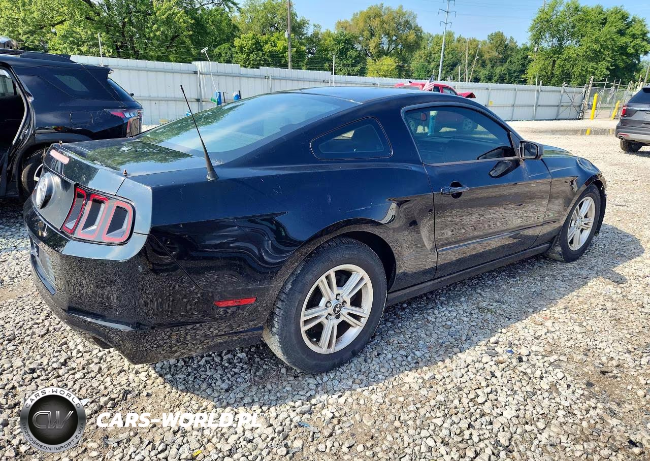 2014 Ford Mustang VIN:1ZVBP8AM1E5215964 - 3