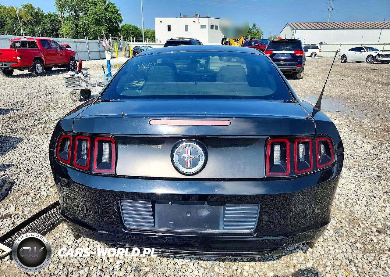 2014 Ford Mustang VIN:1ZVBP8AM1E5215964 - 6
