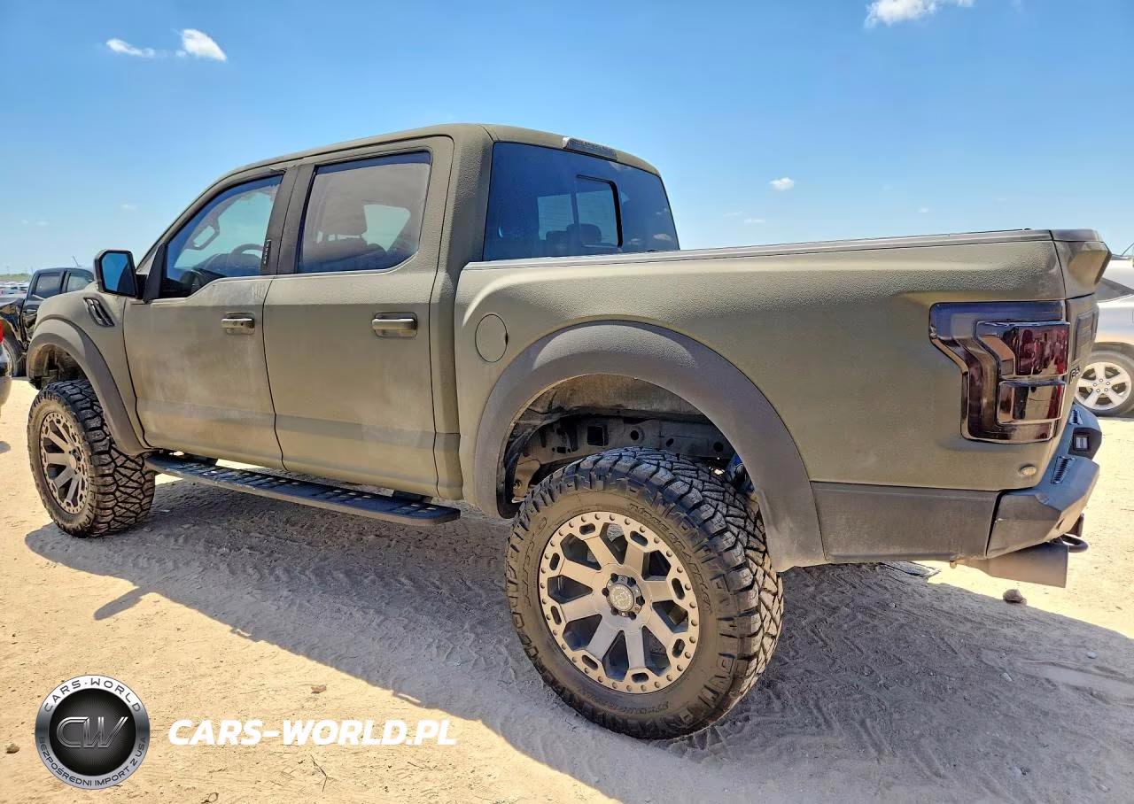 2017 Ford F150 Raptor VIN:1FTFW1RG7HFC34269 - 2