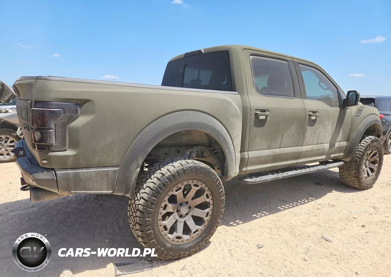 2017 Ford F150 Raptor VIN:1FTFW1RG7HFC34269 - 3