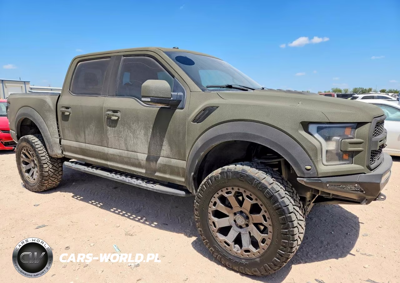 2017 Ford F150 Raptor VIN:1FTFW1RG7HFC34269 - 4