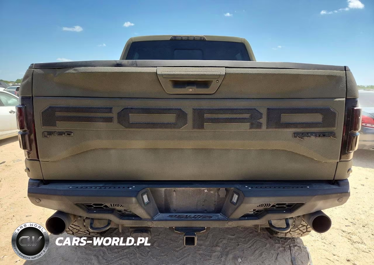 2017 Ford F150 Raptor VIN:1FTFW1RG7HFC34269 - 6