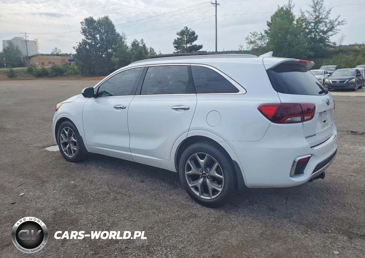 2020 Kia Sorento Sx VIN:5XYPK4A51LG685859 - 2